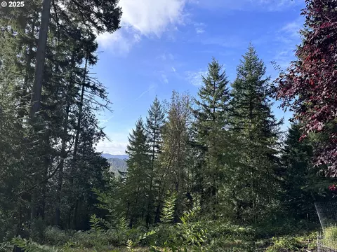 Douglas Dr, Eugene, OR 97405 photo 7