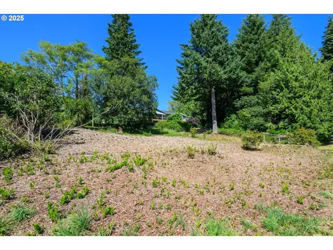 view loop, Florence, OR 97439 photo 7