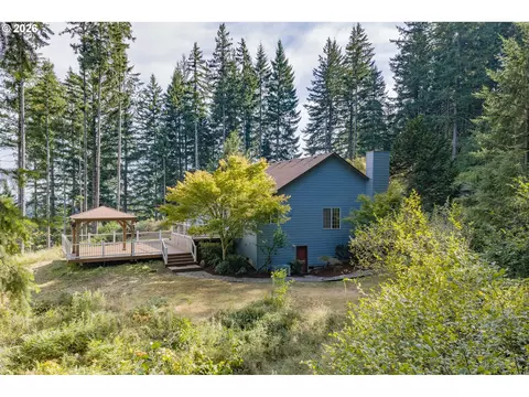 Exterior - 28323 NE 48th Way, Camas, WA 98607 photo 10 of 14