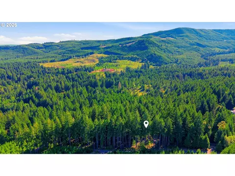 View/Area - 93156 Ewing Rd, Springfield, OR 97478 photo 4 of 4