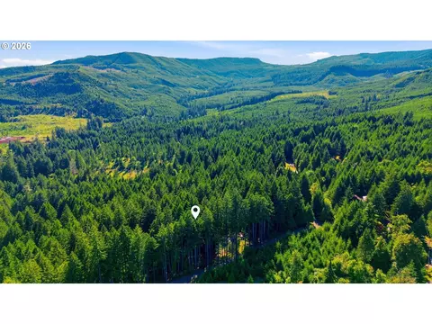 Other - 93156 Ewing Rd, Springfield, OR 97478 photo 6 of 6