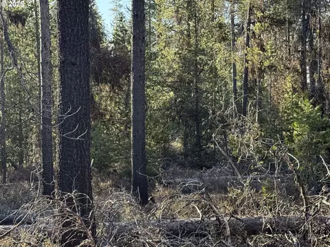 artesian dr, Chiloquin, OR 97624 photo 15