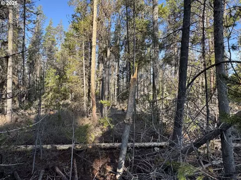 artesian dr, Chiloquin, OR 97624 photo 29