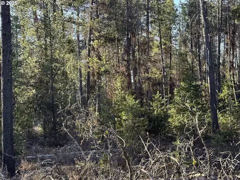 artesian dr, Chiloquin, OR 97624 photo 2