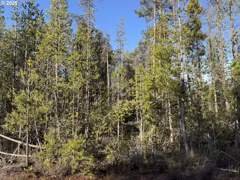 artesian dr, Chiloquin, OR 97624 photo 21