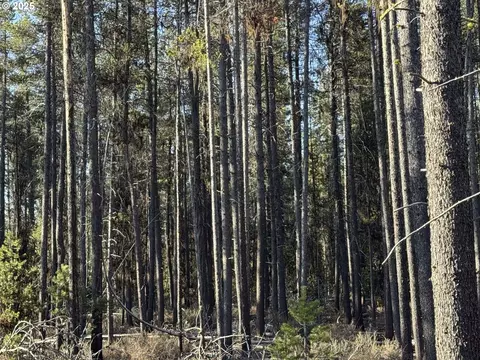 artesian dr, Chiloquin, OR 97624 photo 14