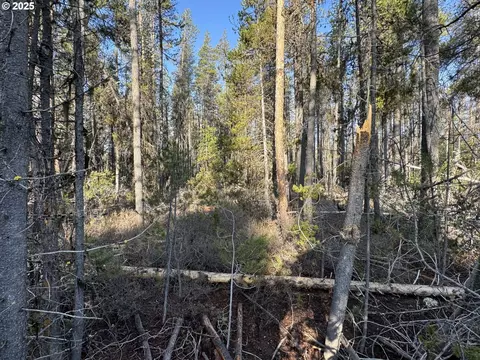 artesian dr, Chiloquin, OR 97624 photo 30