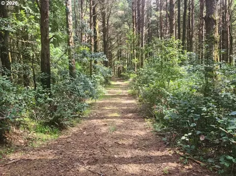 cemetery loop rd, Port Orford, OR 97465