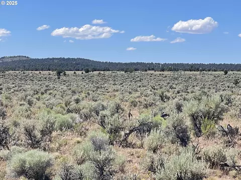 benjamin lake road, Christmas Valley, OR 97641
