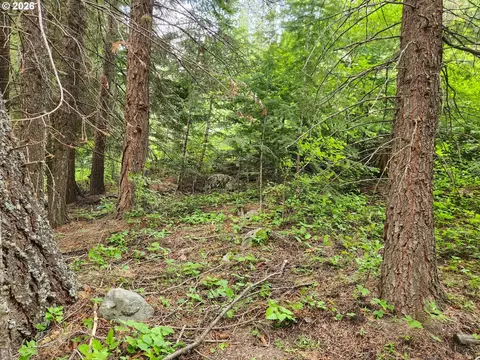 0 Forest Dell Rd, Joseph, OR 97846 photo 11