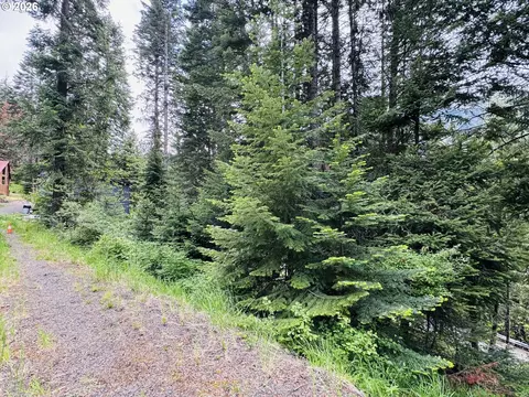 0 Forest Dell Rd, Joseph, OR 97846 photo 15