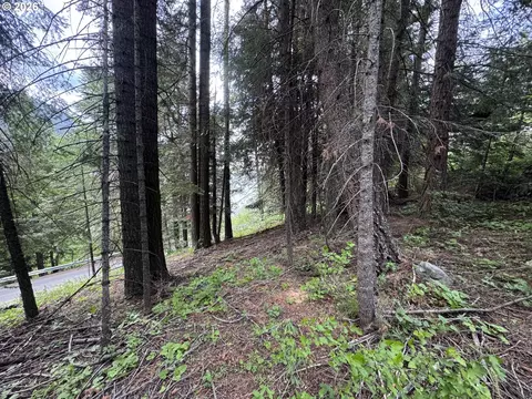 0 Forest Dell Rd, Joseph, OR 97846 photo 10