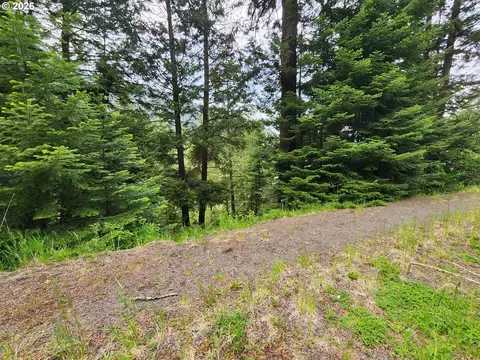 0 Forest Dell Rd, Joseph, OR 97846 photo 7