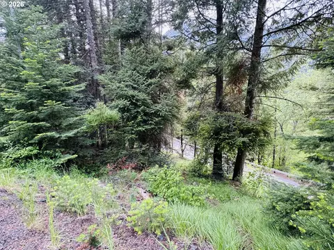 0 Forest Dell Rd, Joseph, OR 97846 photo 8