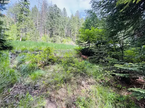 0 Forest Dell Rd, Joseph, OR 97846 photo 17