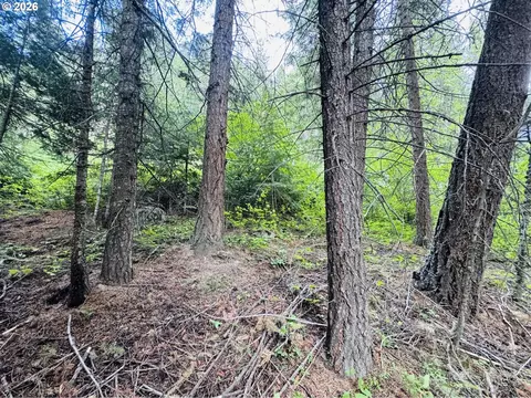 0 Forest Dell Rd, Joseph, OR 97846 photo 13