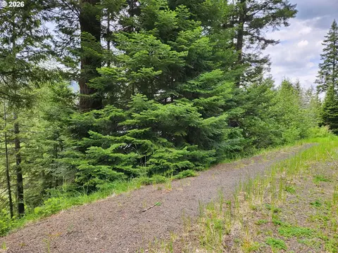 0 Forest Dell Rd, Joseph, OR 97846 photo 4