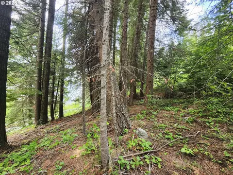 0 Forest Dell Rd, Joseph, OR 97846 photo 6