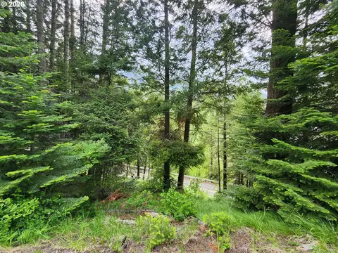 0 Forest Dell Rd, Joseph, OR 97846 photo 5