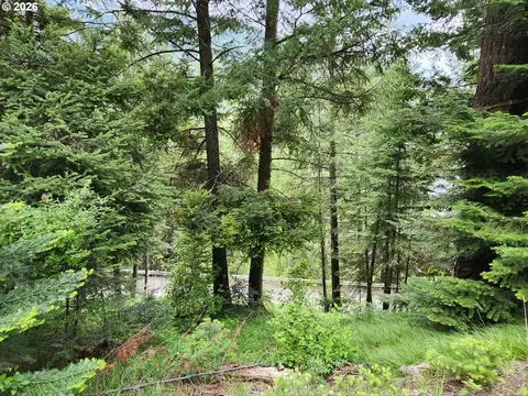 0 Forest Dell Rd, Joseph, OR 97846 photo 9