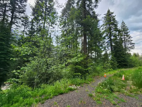 0 Forest Dell Rd, Joseph, OR 97846 photo 18