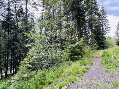 0 Forest Dell Rd, Joseph, OR 97846 photo 2