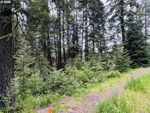 0 Forest Dell Rd, Joseph, OR 97846 photo 16