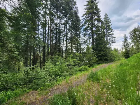 0 Forest Dell Rd, Joseph, OR 97846 photo 12