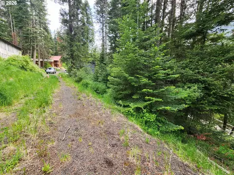 0 Forest Dell Rd, Joseph, OR 97846 photo 3