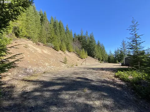 Cheyee Rd, Cougar, WA 98616