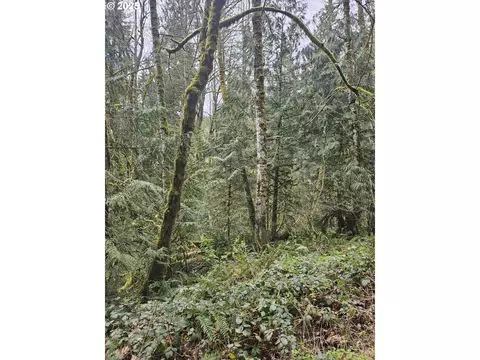 201 Pin Creek Ln, Kelso, WA 98626