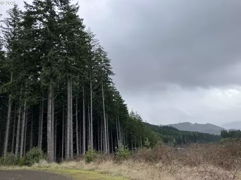 W Boundary Rd, Lowell, OR 97452 photo 6