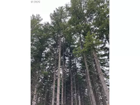 W Boundary Rd, Lowell, OR 97452 photo 5