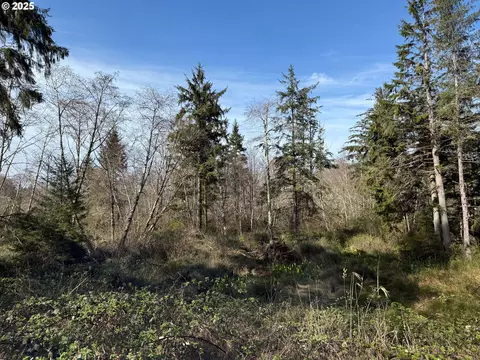 Spruce Dr, Seaside, OR 97138 photo 9
