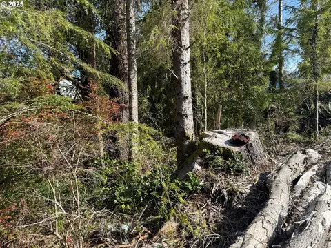 Spruce Dr, Seaside, OR 97138 photo 14