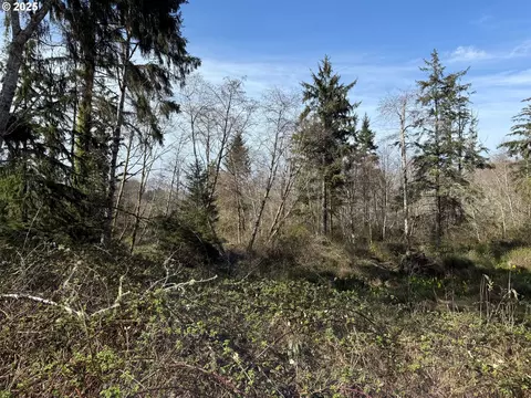 Spruce Dr, Seaside, OR 97138 photo 7