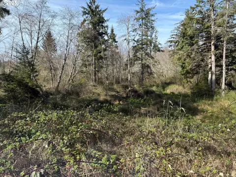 Spruce Dr, Seaside, OR 97138 photo 8