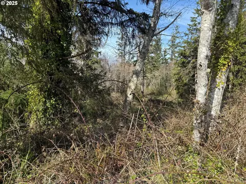 Spruce Dr, Seaside, OR 97138 photo 6