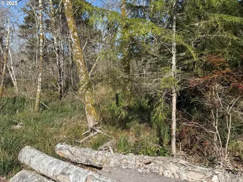 Spruce Dr, Seaside, OR 97138 photo 13