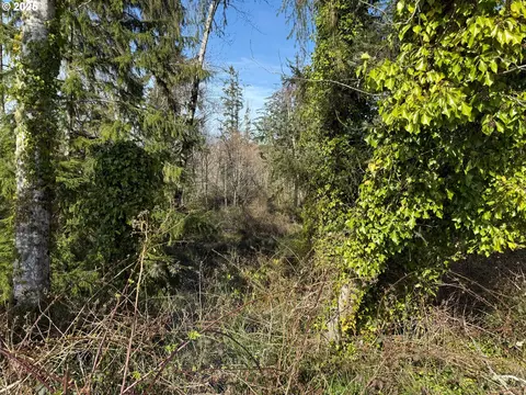 Spruce Dr, Seaside, OR 97138 photo 15