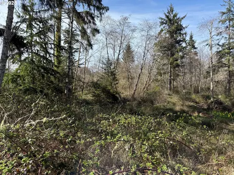 Spruce Dr, Seaside, OR 97138 photo 11
