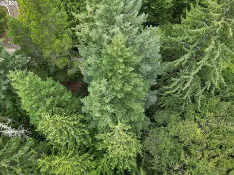 Collard Loop, Florence, OR 97439 photo 11