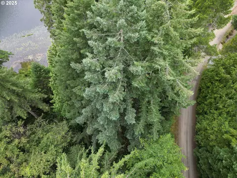 Collard Loop, Florence, OR 97439 photo 7