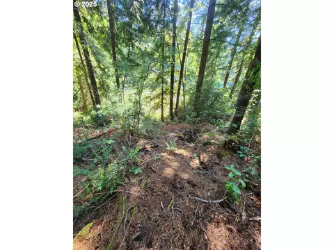 Collard Loop, Florence, OR 97439 photo 4