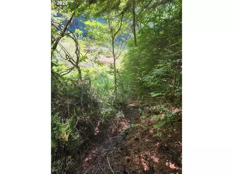Collard Loop, Florence, OR 97439 photo 3