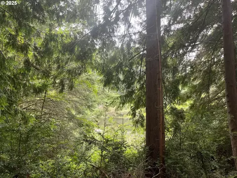 Collard Loop, Florence, OR 97439 photo 15