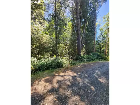 Collard Loop, Florence, OR 97439 photo 5