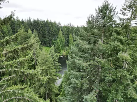 Collard Loop, Florence, OR 97439 photo 6