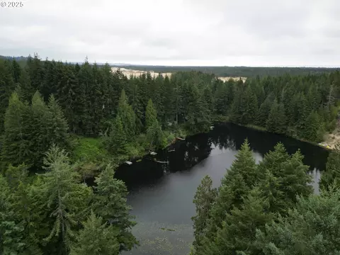 Collard Loop, Florence, OR 97439 photo 2