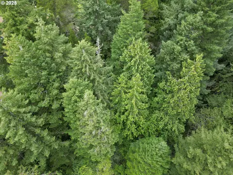 Collard Loop, Florence, OR 97439 photo 10